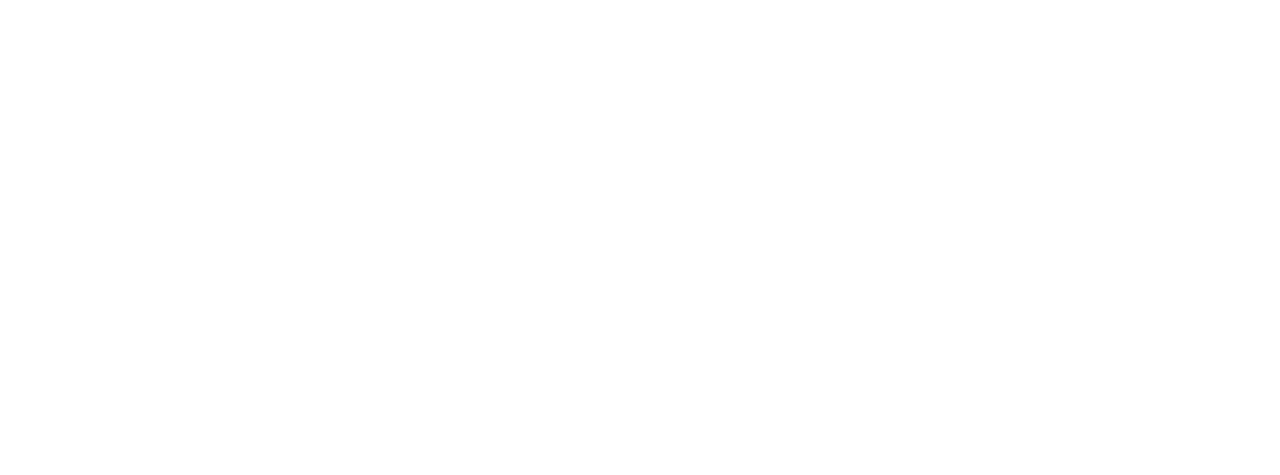 Logo Instituto Ademir Filho