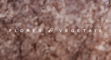 Linha Flores & Vegetais Grandha