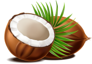 Linha Mix Oil Coconut & Argan Grandha